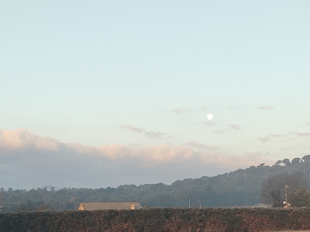 No s'ha trobat l'arxiu